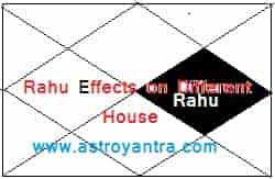 राहु का विभिन्न भाव में फल | Rahu Effects on Different Houses