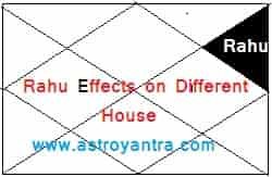 राहु का विभिन्न भाव में फल | Rahu Effects on Different Houses