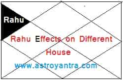 राहु का विभिन्न भाव में फल | Rahu Effects on Different Houses.