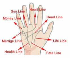 Sudden death syndrome symptoms in palmistry