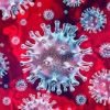 कोरोना वायरस का ज्योतिषीय विश्लेषण : भारत से कब समाप्त होगा ?
