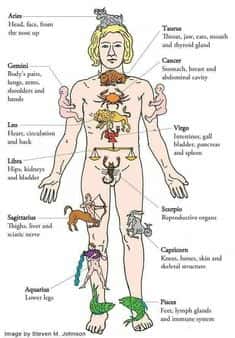 Medical Astrology : Discover the Path to Healthy Lifestyle